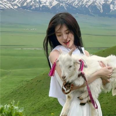 爱的旅途上